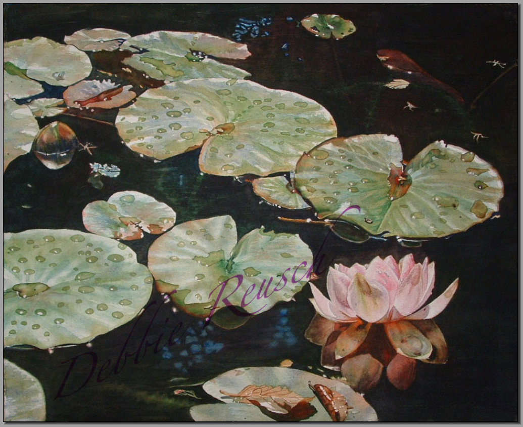 Waterlily Reflection